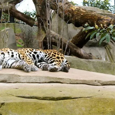 Casa vacanze In Elegant 3-bedroom Near Bois De Vincennes