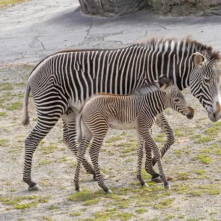 In Elegant 3-bedroom Near Bois De Vincennes Casa vacanze