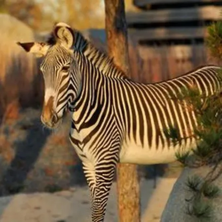In Elegant 3-bedroom Near Bois De Vincennes Casa vacanze